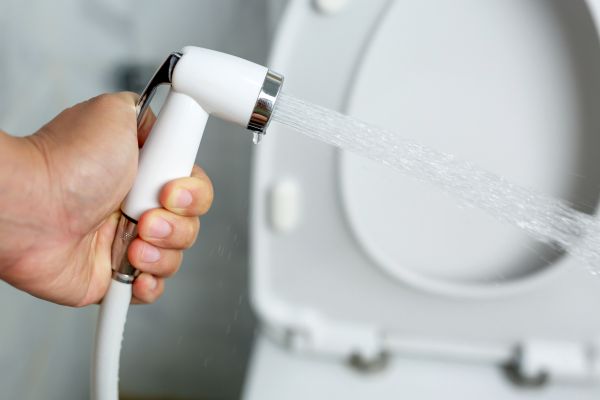 Bidet Installation in Honolulu