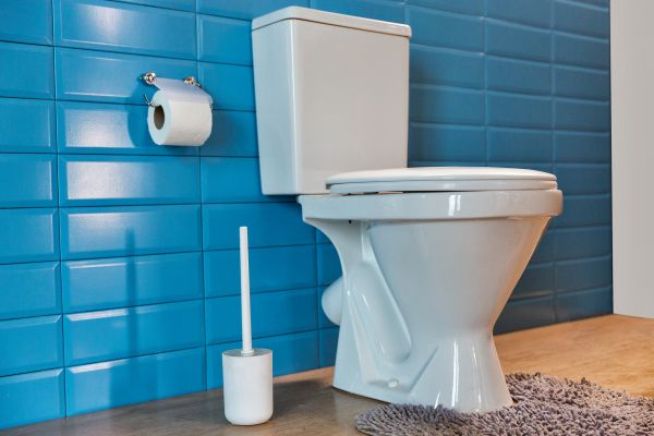 Cost of Toilet Tank Repair in Honolulu