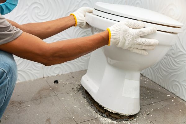 Cost of Toilet Removal in Honolulu